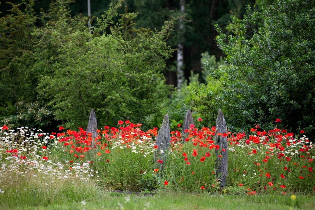 Vakantieverblijf Volmolen B&B Maaseik Luaran gambar