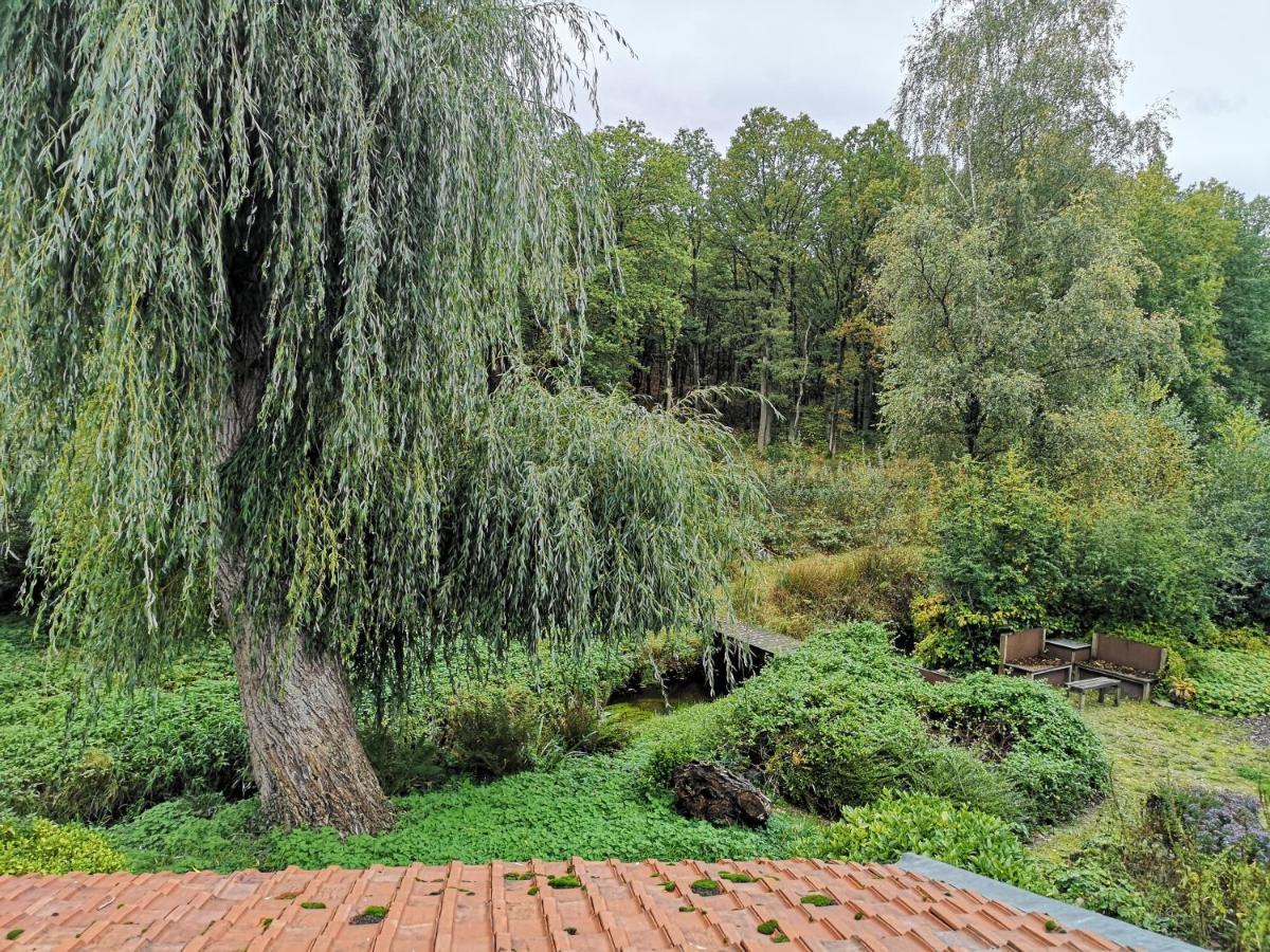 Vakantieverblijf Volmolen B&B Maaseik Luaran gambar